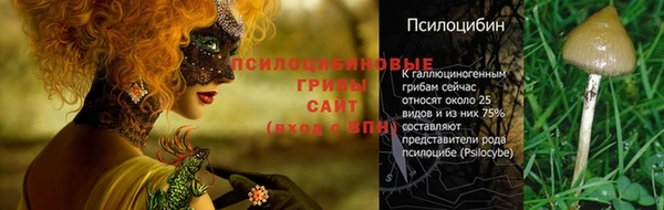 сатива Алексин